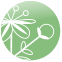 Логотип с изображением полевой травы
