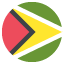 🇬🇾
