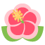 :hibiscus: 🌺