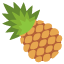 :pineapple: 🍍