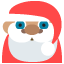🎅🏽