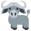 🐃
