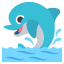 🐬
