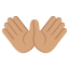 👐🏽