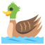 🦆